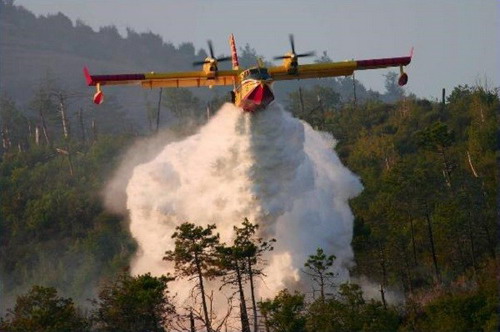 Immagine riferita a: La natura in fiamme: incendi estivi e tutela del territorio